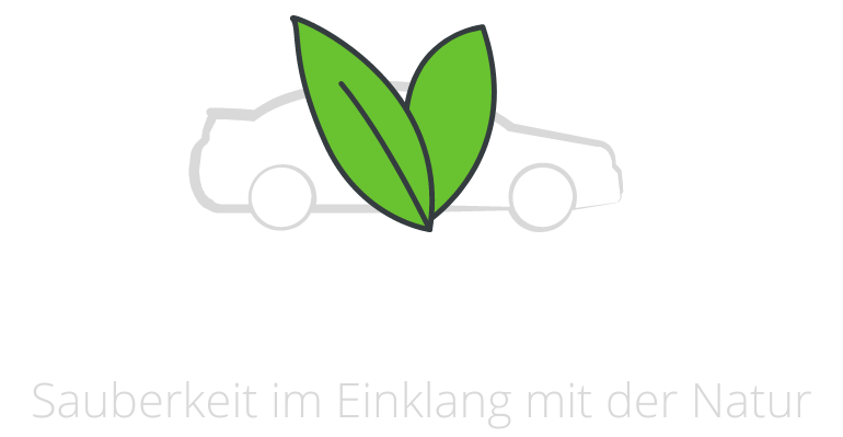 EcoCleanse - mobile Autoreinigung