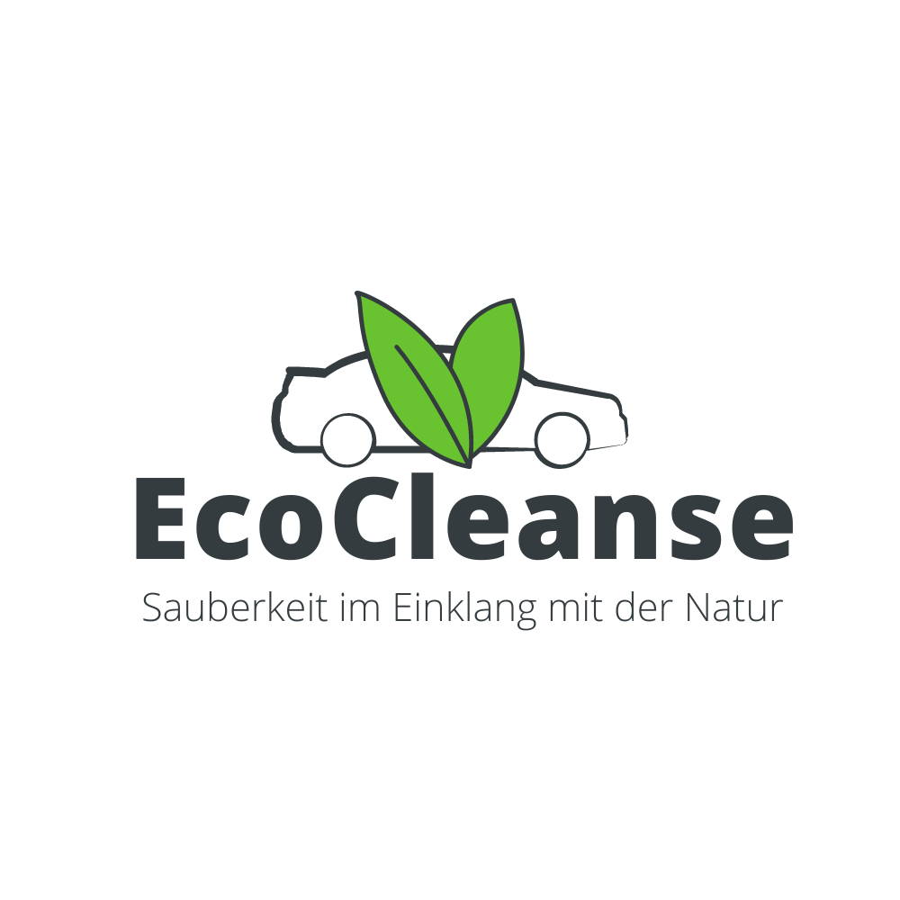 EcoCleanse - mobile Autoreinigung